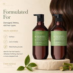 Two bottles of Theorie Sage shampoo and conditioner with green labels, surrounded by bamboo and leaves on a beige background.