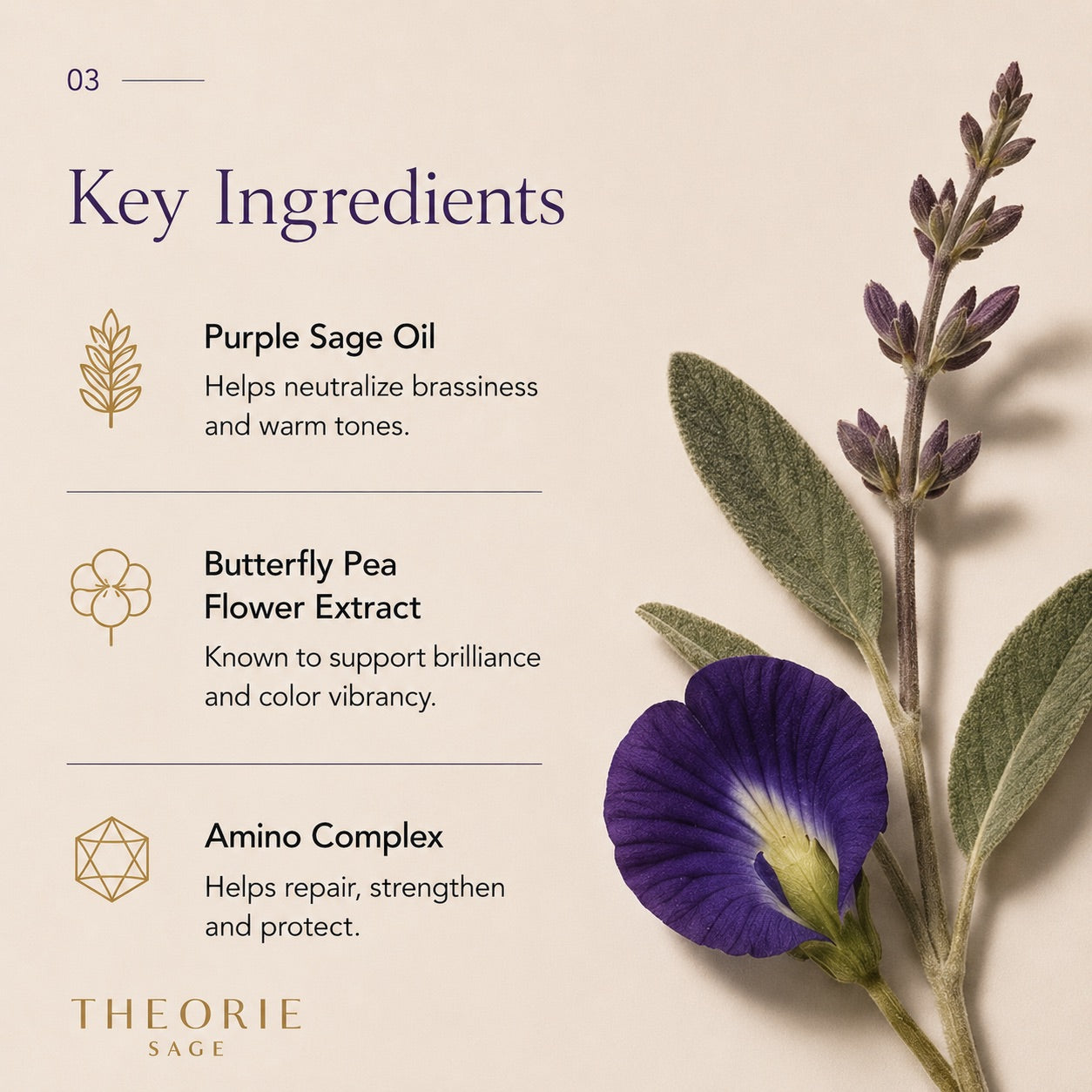 Key ingredients of a skincare product with purple sage oil, butterfly pea flower extract, and amino complex on a beige background.