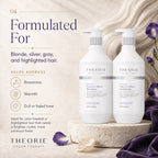Theorie shampoo and conditioner bottles with text about blonde, silver, gray, and highlighted hair on a neutral background.